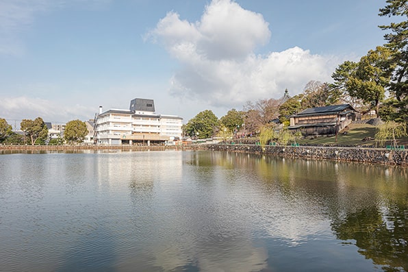 Sarusawa Pond